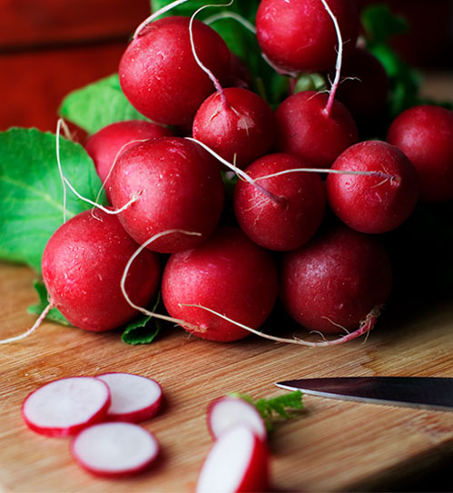 Peanut Farming in Sharkia