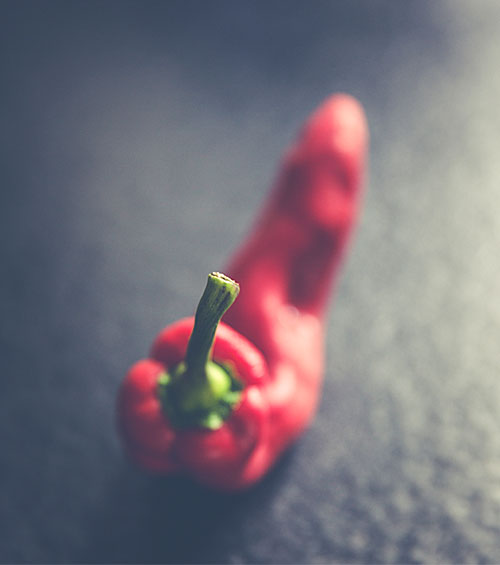 Export Packaging for Peanuts