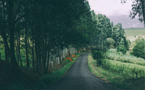 Export Documentation and Customs